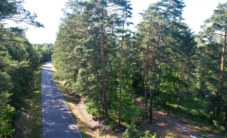działka na sprzedaż - Biłgoraj (gw), Brodziaki