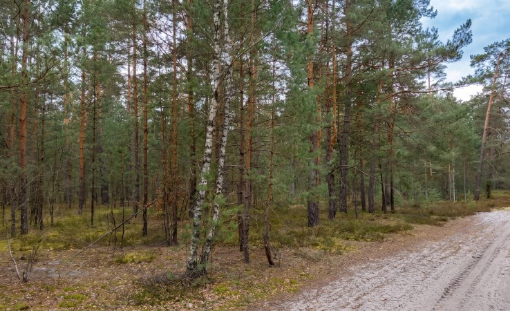 działka na sprzedaż - Józefów (gw), Majdan Kasztelański