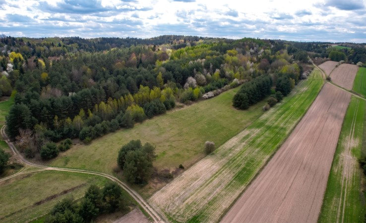 działka na sprzedaż - Zwierzyniec (gw), Wywłoczka