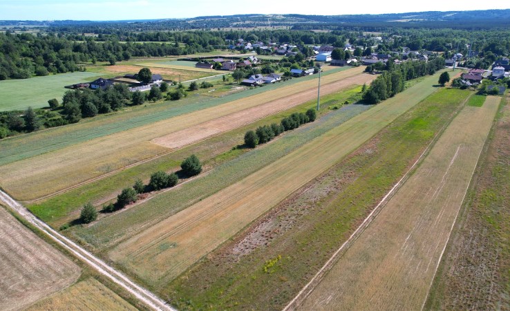 działka na sprzedaż - Zwierzyniec (gw), Wywłoczka