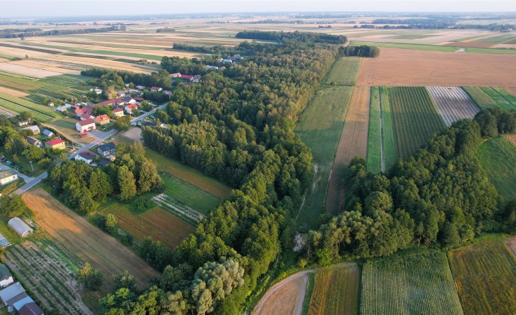 działka na sprzedaż - Księżpol, Rakówka