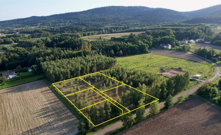 działka na sprzedaż - Brzyska, Błażkowa